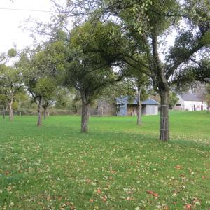 maison en Vente à Courson (14380)