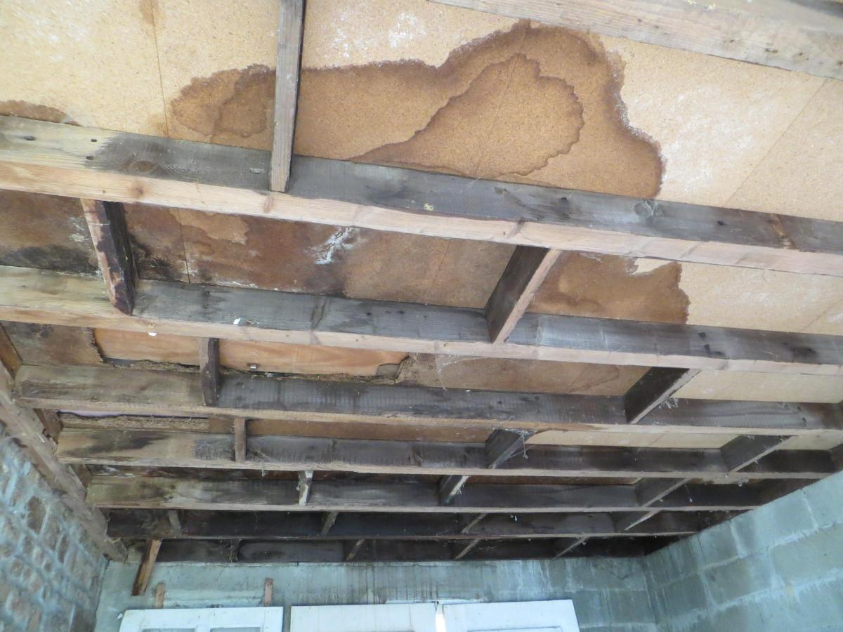 maison en Vente à Saint-Manvieu-Bocage (14380)