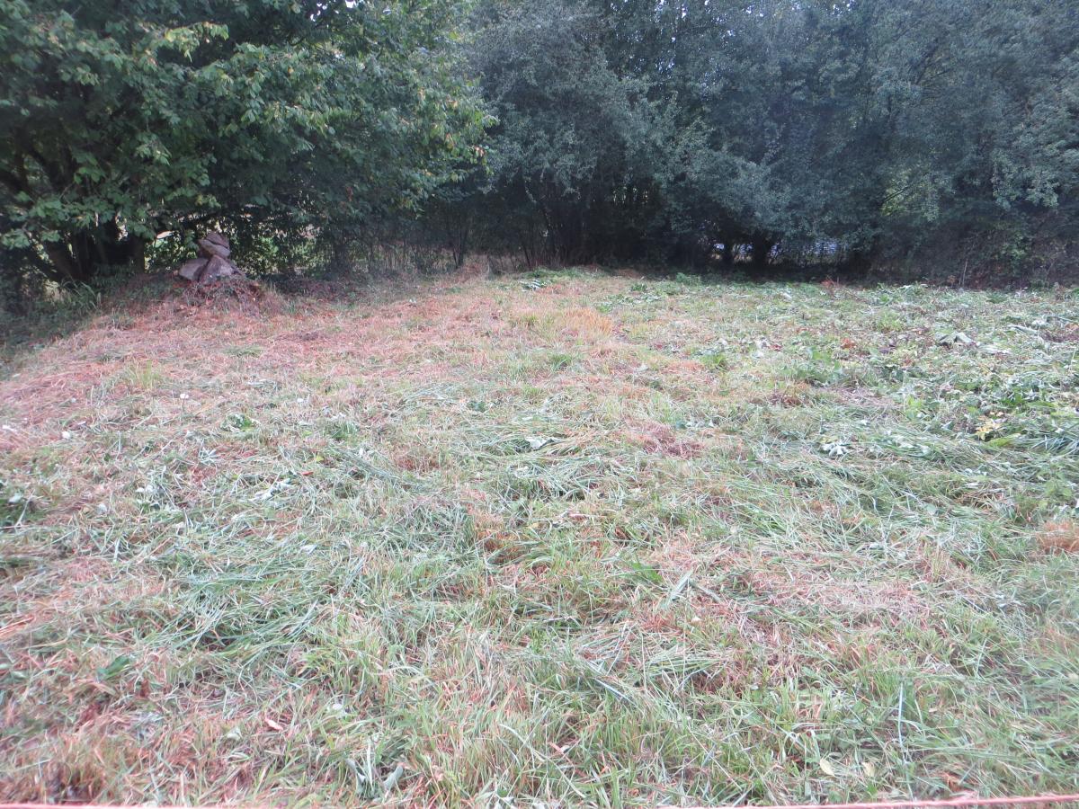 maison en Vente à Malloué (14350)