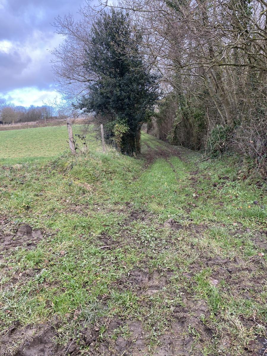 terrain en Vente à La Ferrière-Harang (14350)