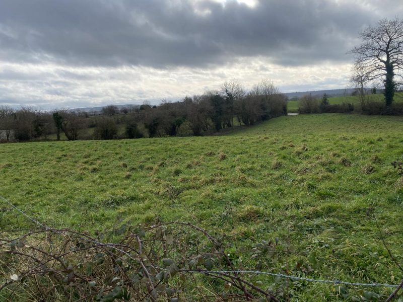 terrain en Vente à La Ferrière-Harang (14350)