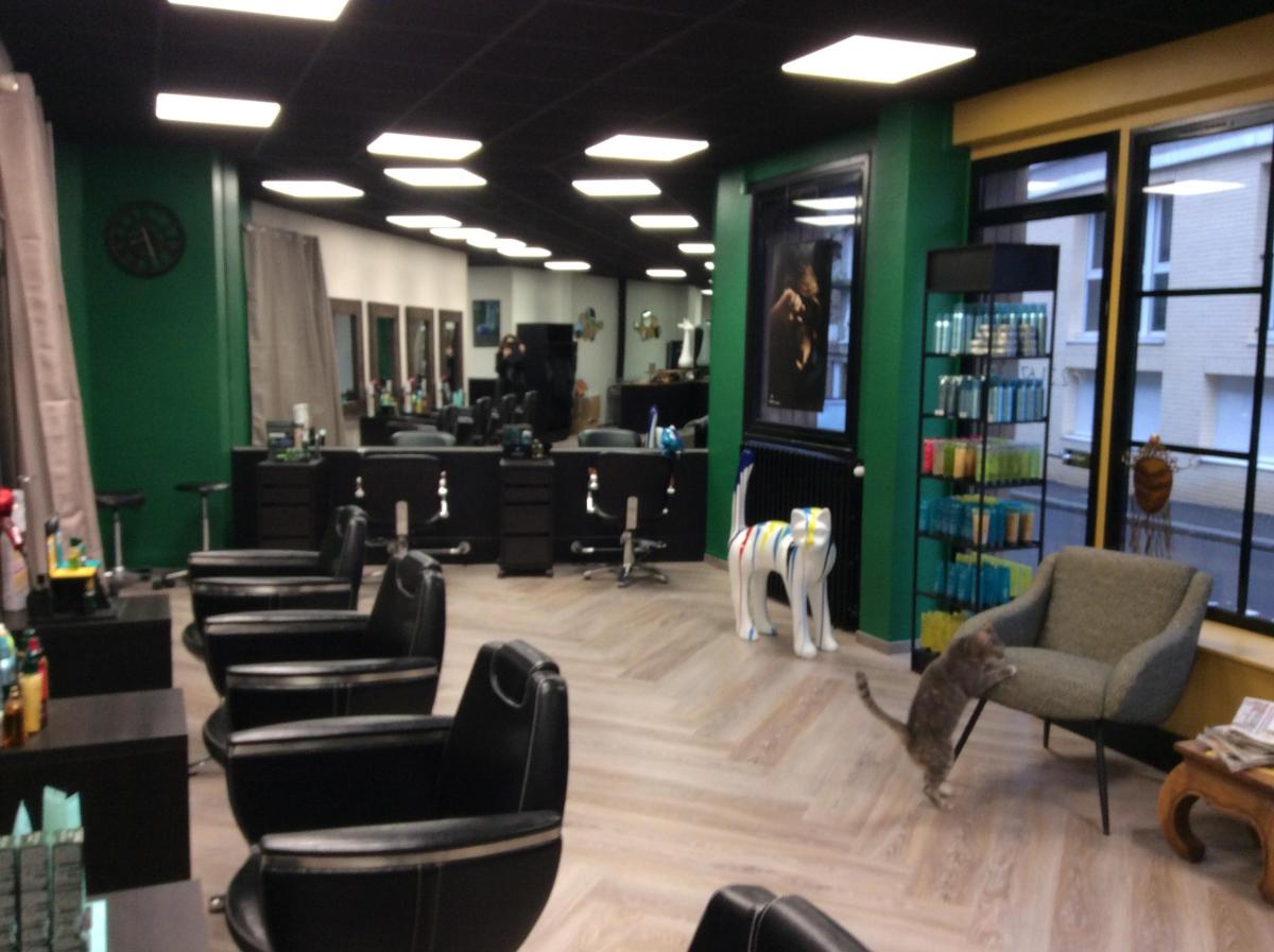 autre en Vente à Vire Normandie (14500)