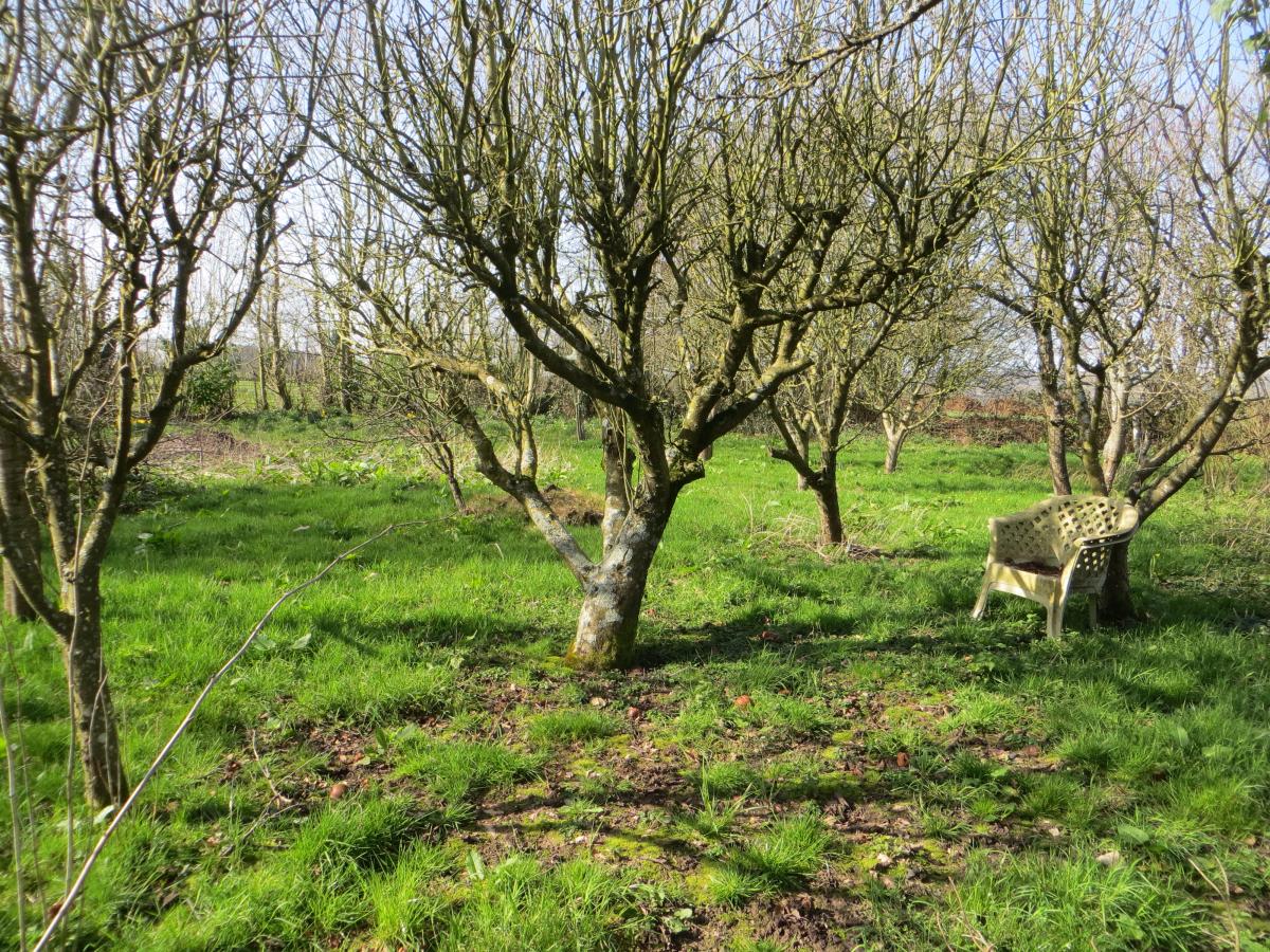 maison en Vente à Estry (14410)