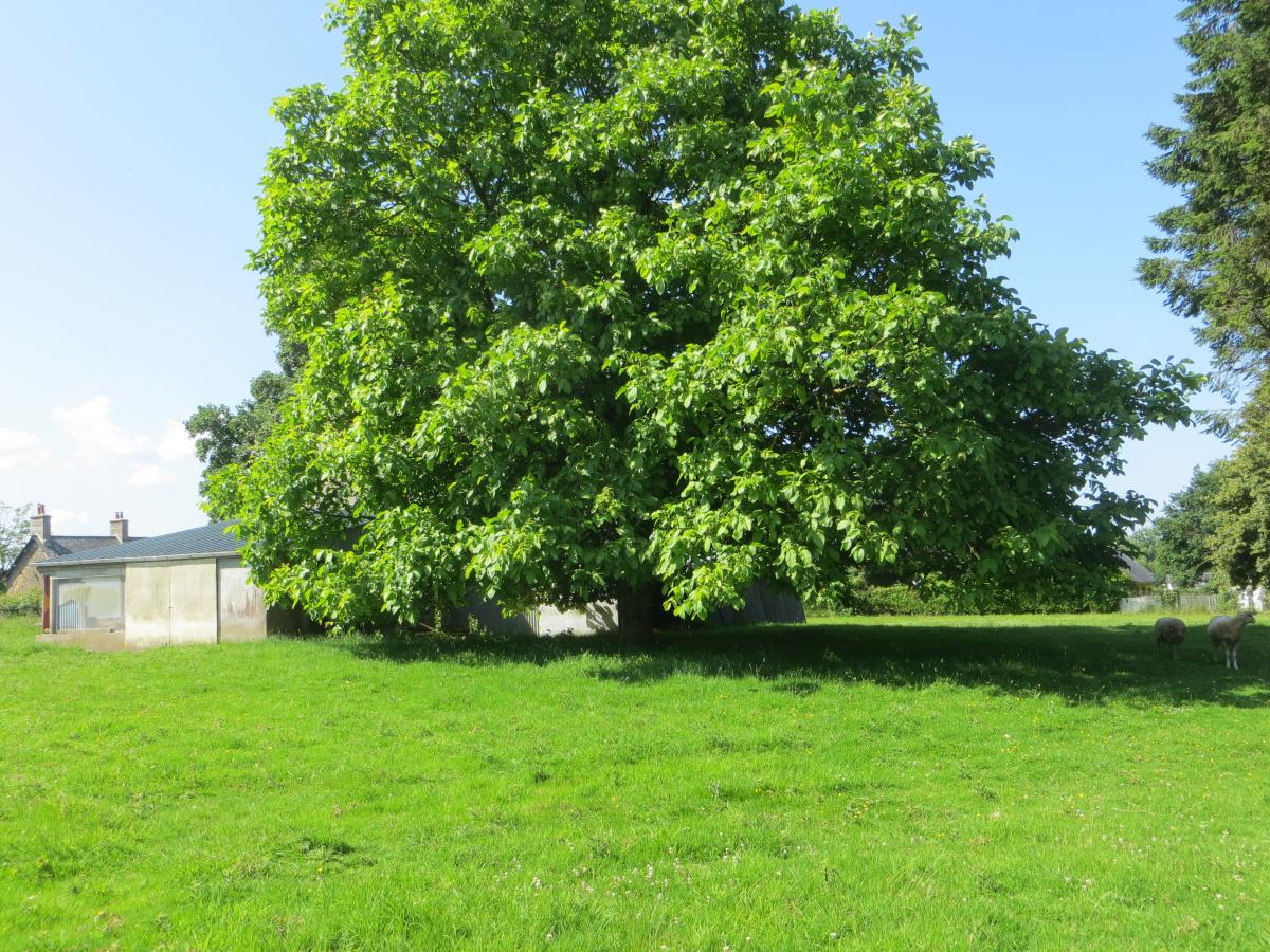 maison en Vente à Courson (14380)