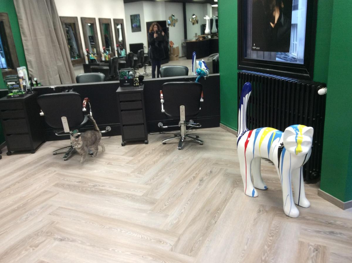 autre en Vente à Vire Normandie (14500)