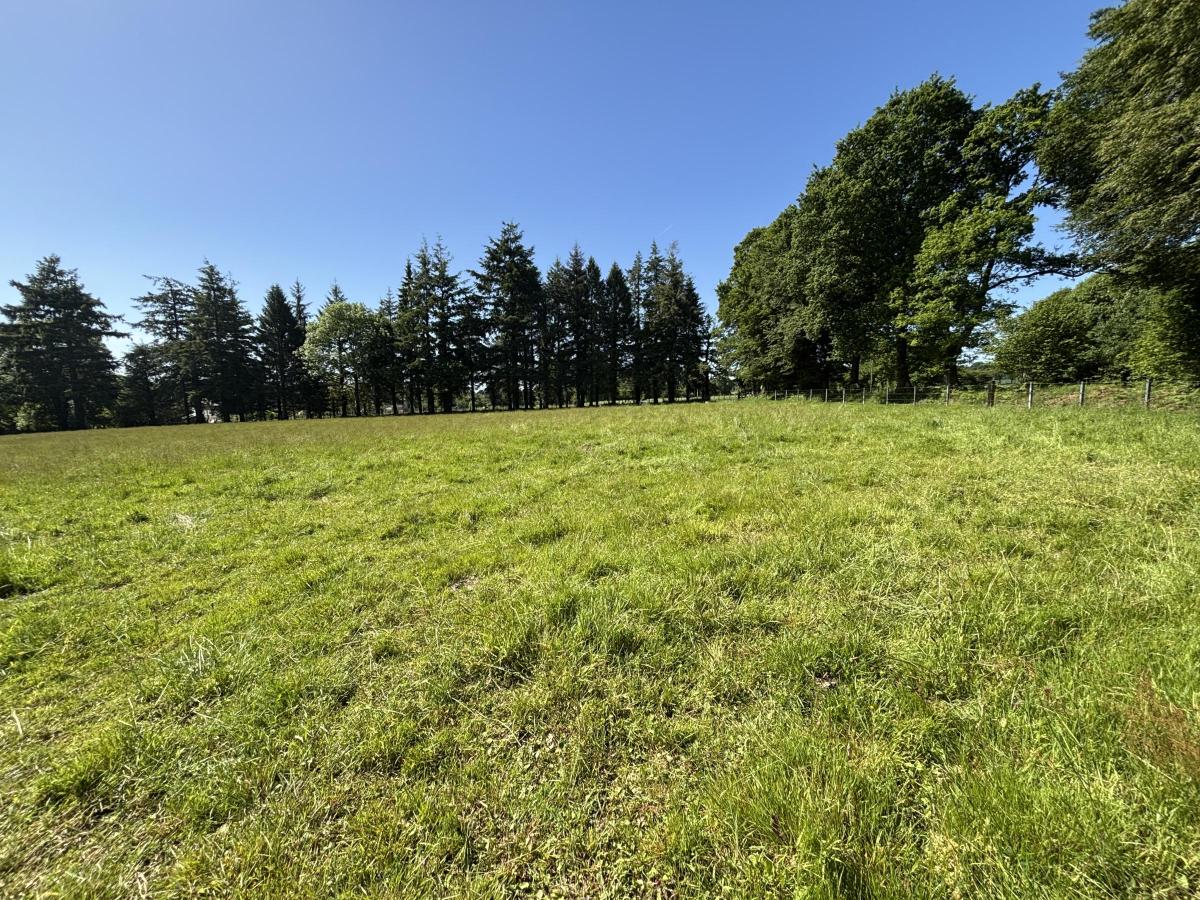 terrain en Vente à Noues de Sienne (14380)