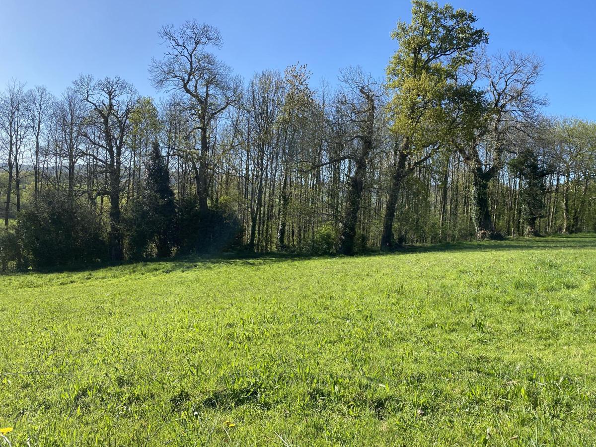 maison en Vente à Brécey (50370)