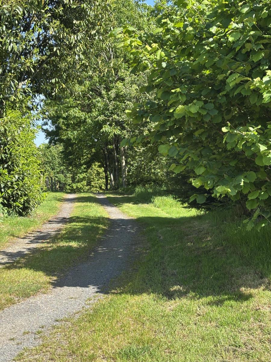 terrain en Vente à Noues de Sienne (14380)