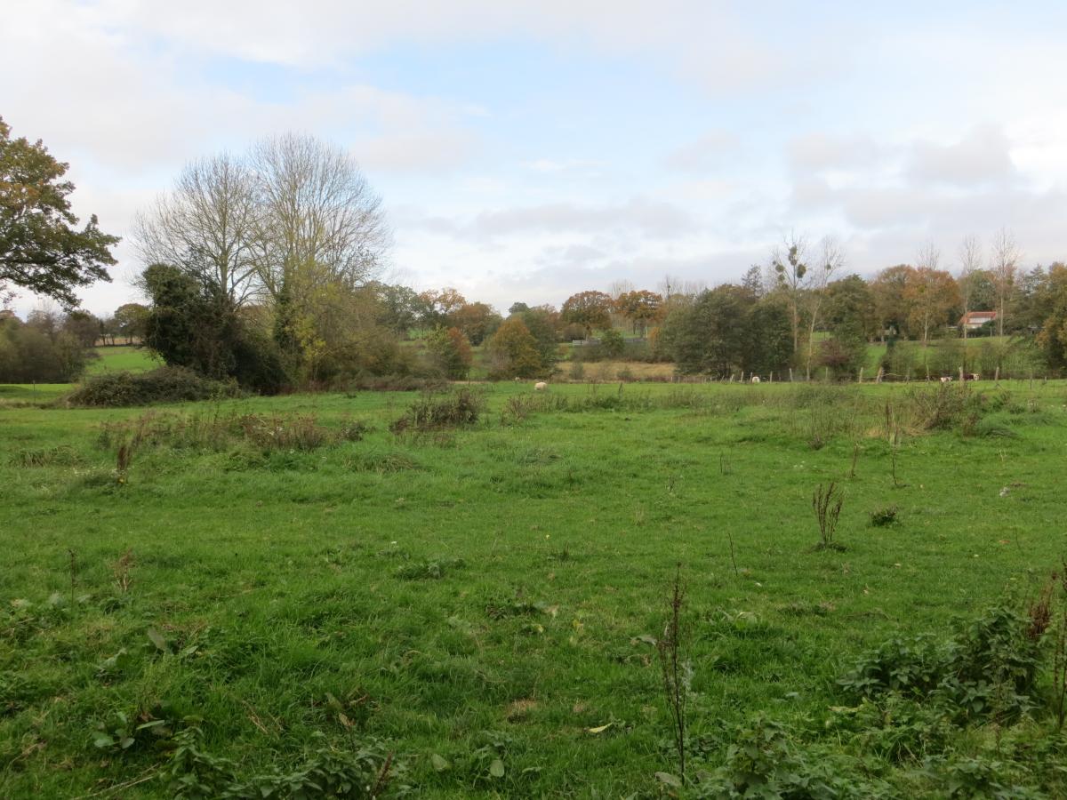 maison en Vente à Campagnolles (14500)