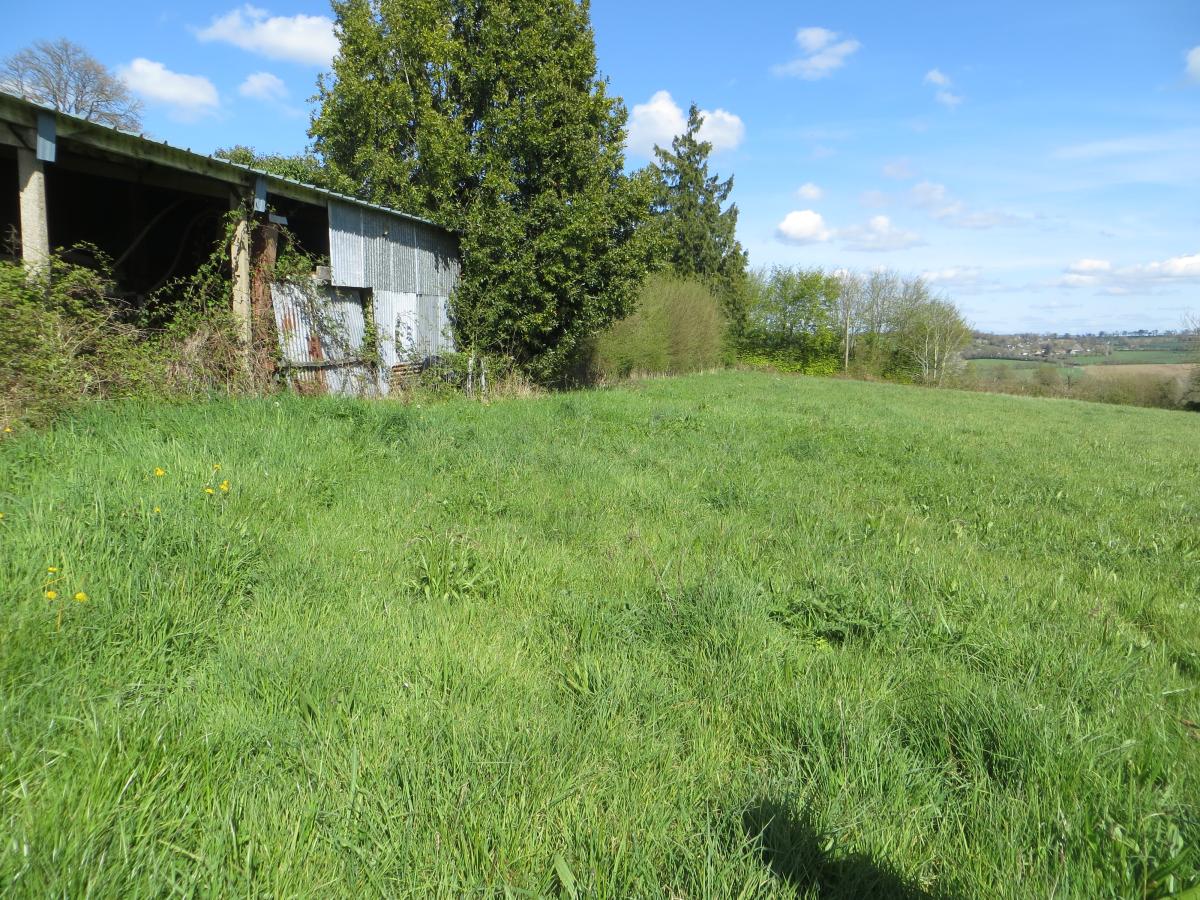 maison en Vente à Saint-Martin-Don (14350)