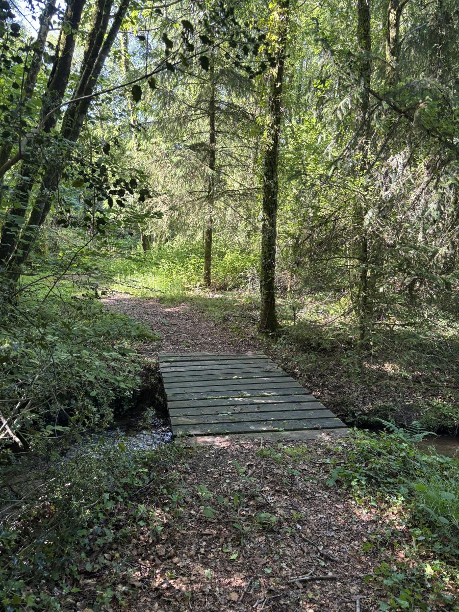 terrain en Vente à Noues de Sienne (14380)