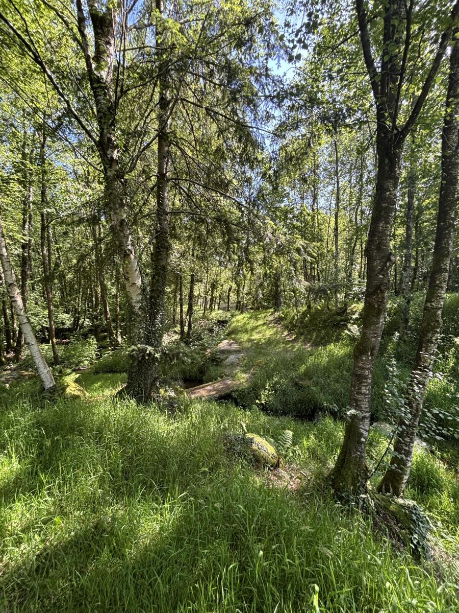 terrain en Vente à Noues de Sienne (14380)
