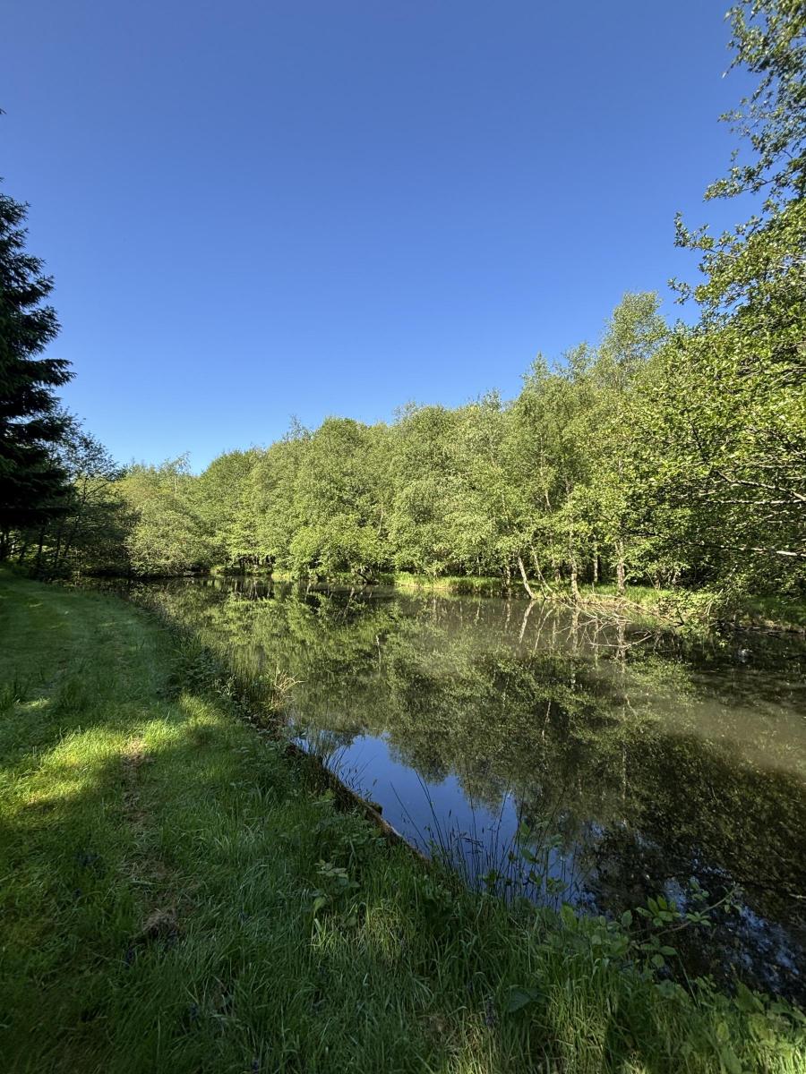 terrain en Vente à Noues de Sienne (14380)