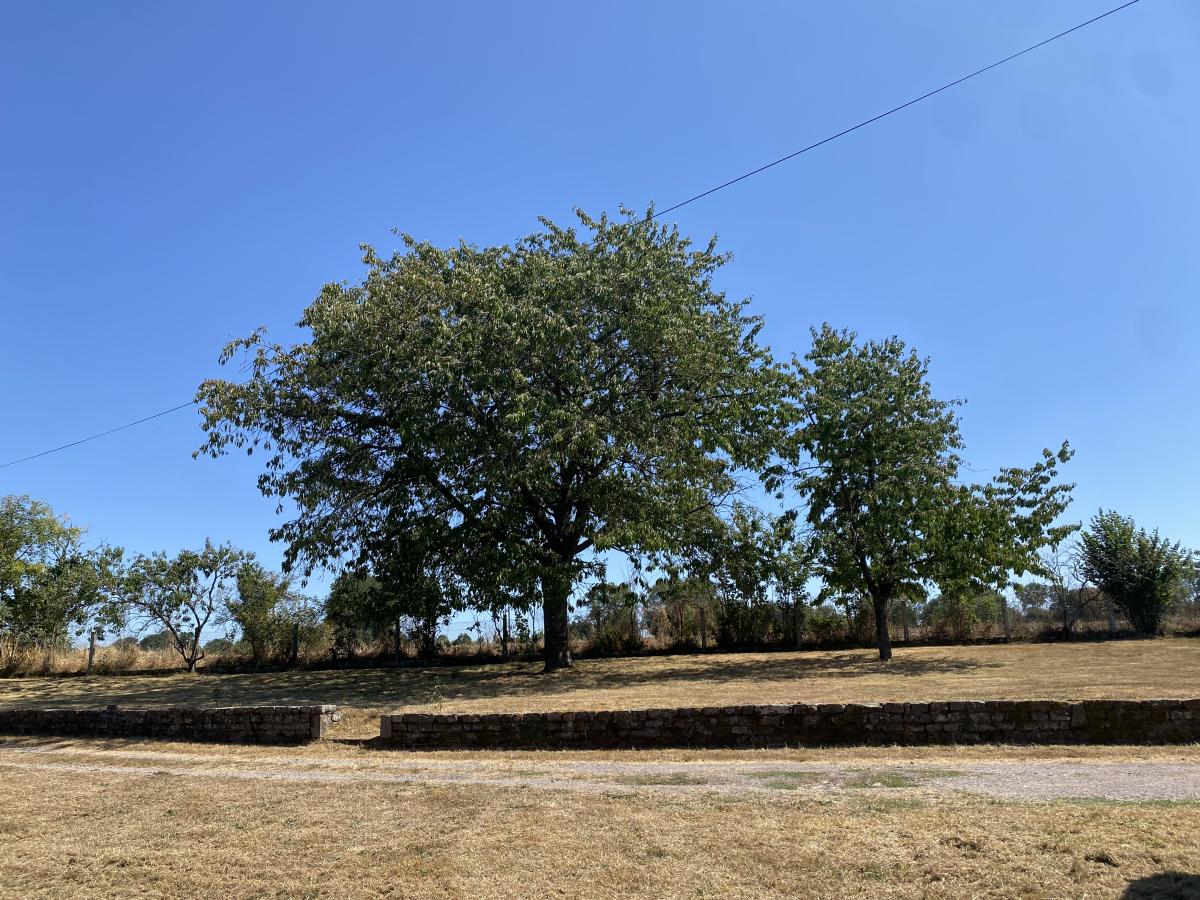 maison en Vente à Moncy (61800)