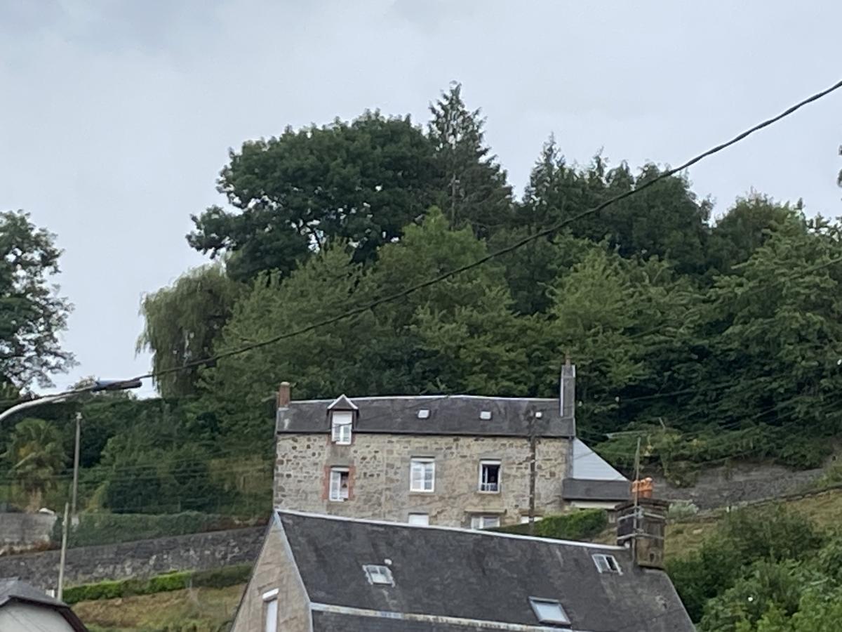 immeuble en Vente à Vire (14500)