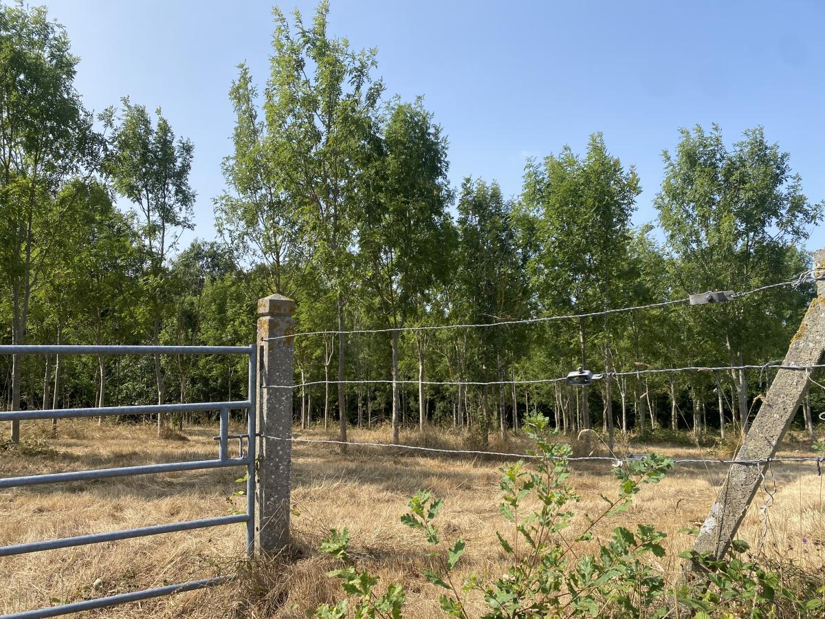 terrain en Vente à Le Mesnil-Caussois (14380)