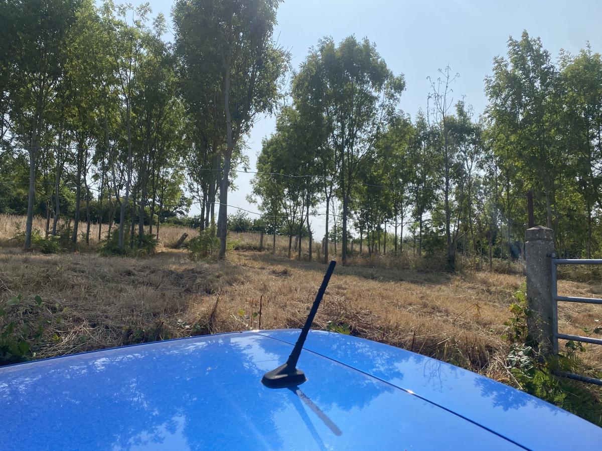 terrain en Vente à Le Mesnil-Caussois (14380)