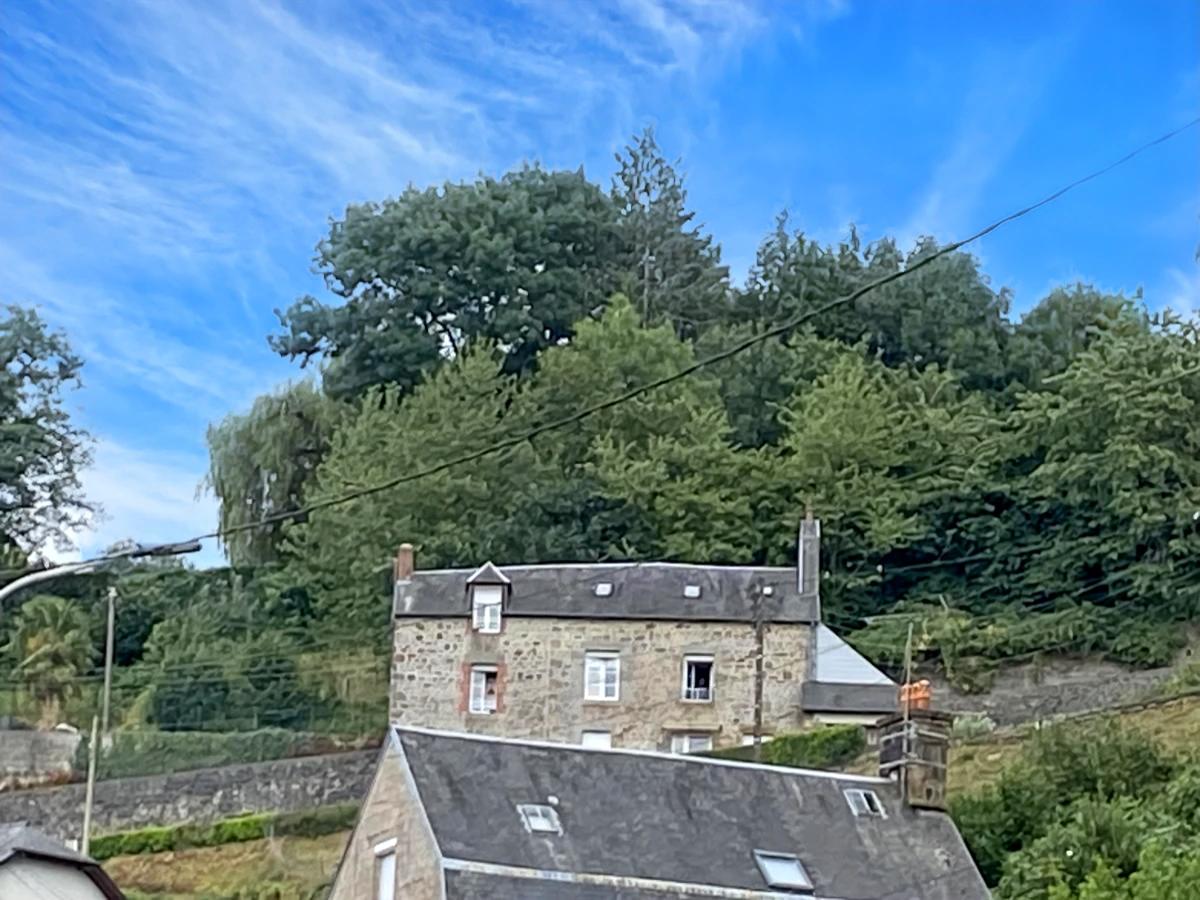 immeuble en Vente à Vire (14500)
