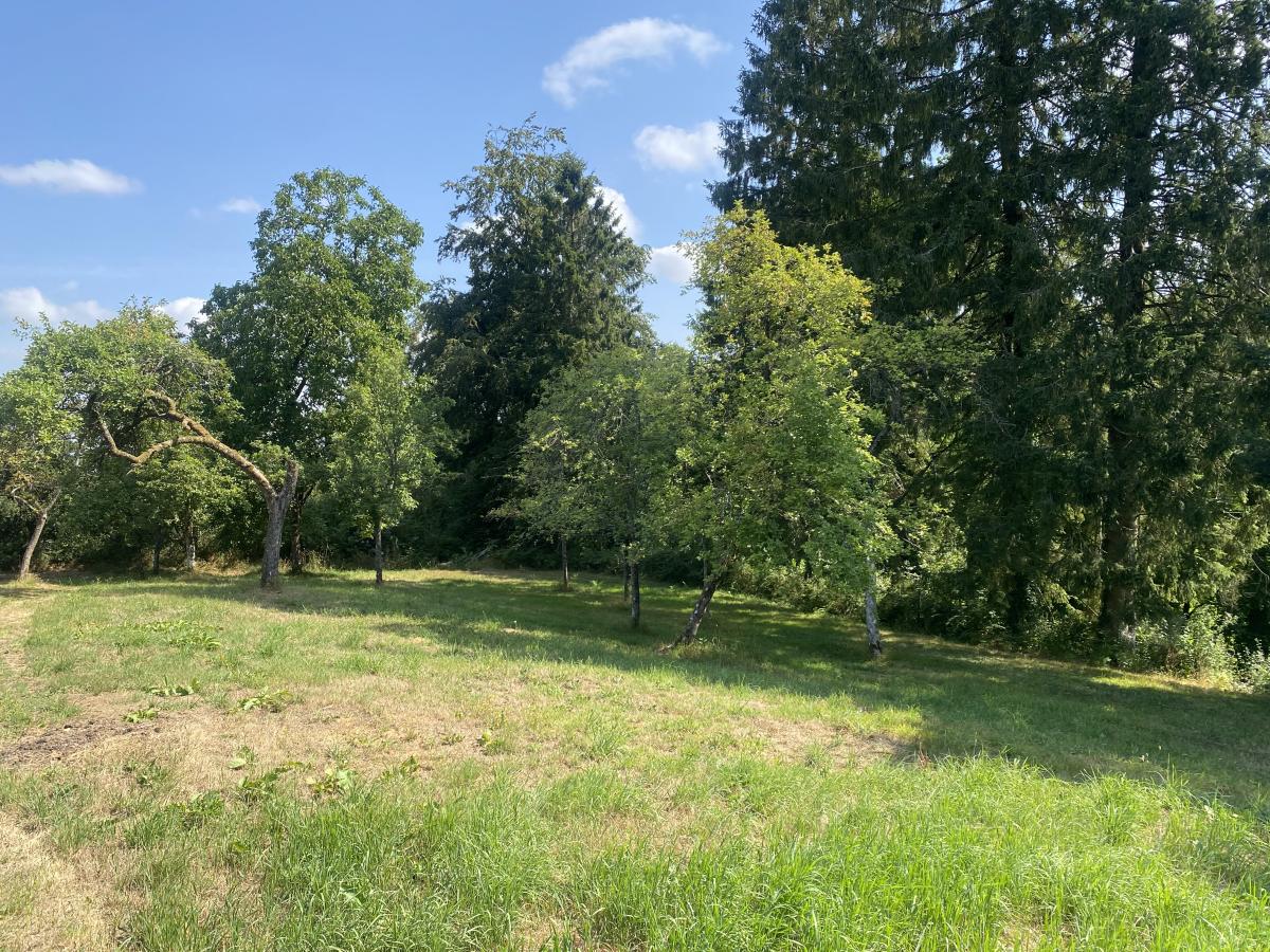 maison en Vente à Vire Normandie (14500)